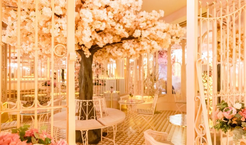 Restaurante Bloom